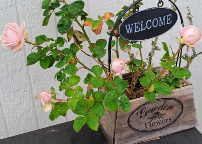 Bed and Breakfast B&B Strandhuset