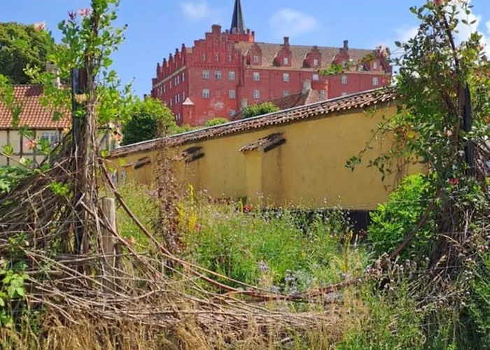 B&B Strandhuset 3* Tranekær